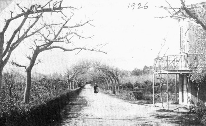 view of the mulberry promenade