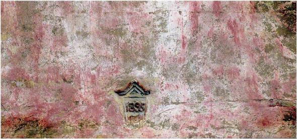 image courtesy of Taylan Zeybek