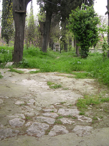 image courtesy of George Vassiadis, photographed 2008