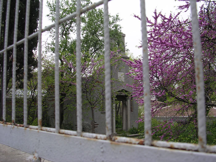 image courtesy of George Vassiadis, photographed 2008