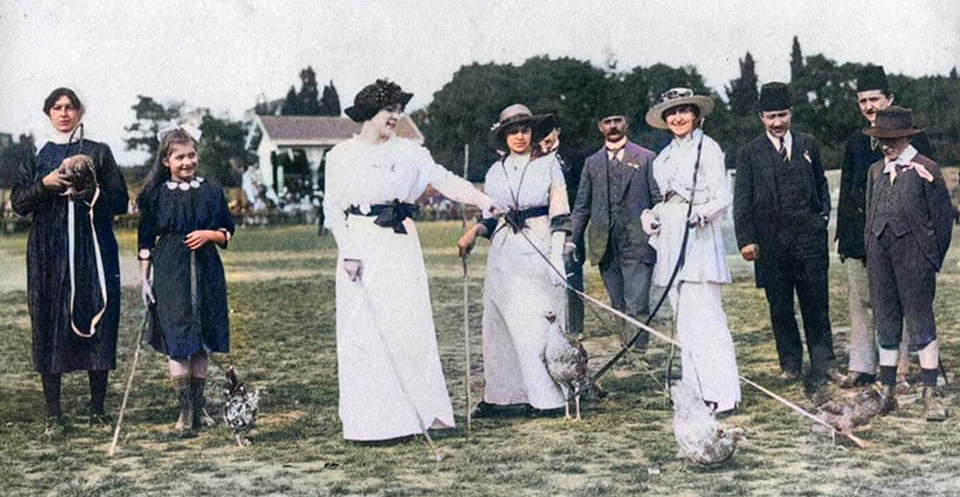 A colourised photo of a group of Levantine ladies engaging in the local rose festival with what looks like to be racing chickens at the Papazın Çayırı (Priest’s field) near Moda, Constantinople 1914. This field was also the location of the first football matches to be played in the country such as the Levantine Union Club, officially established 1908 but with an earlier less formal past, playing against other minority community teams and teams of visiting British sailors.