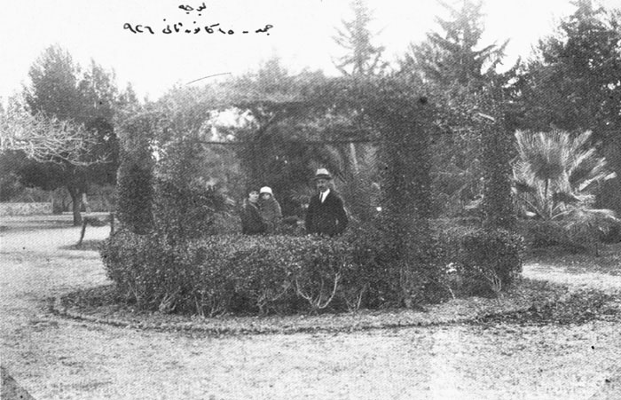 The former garden 1