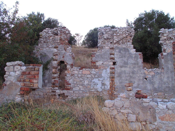 image courtesy of Andrew Simes, 2012