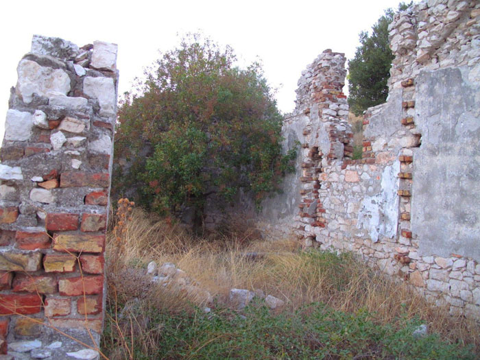 image courtesy of Andrew Simes, 2012