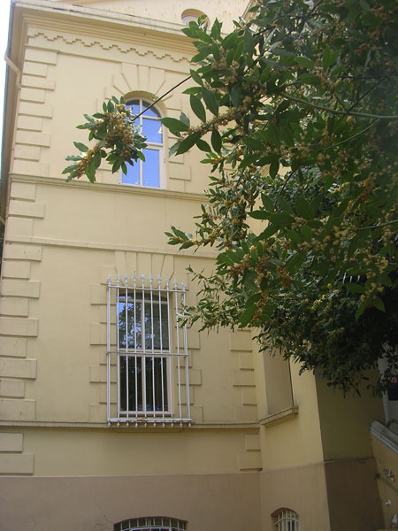image courtesy of George Vassiadis, photographed 2012