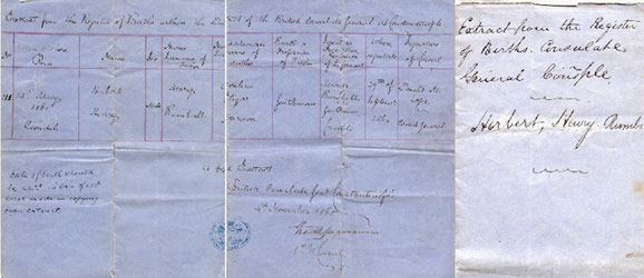click for enlarged image